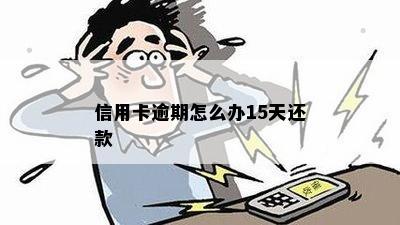 信用卡逾期怎么办15天还款