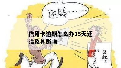 信用卡逾期怎么办15天还清及其影响