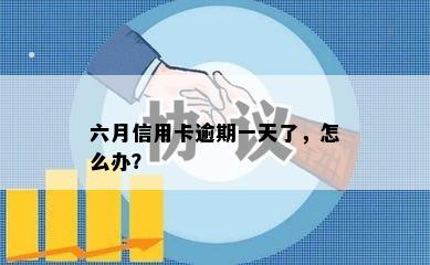 六月信用卡逾期一天了，怎么办？