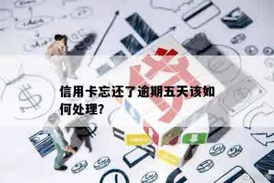 信用卡忘还了逾期五天该如何处理？