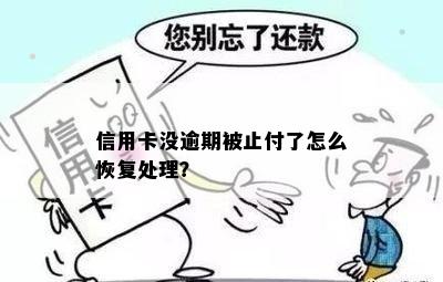 信用卡没逾期被止付了怎么恢复处理？