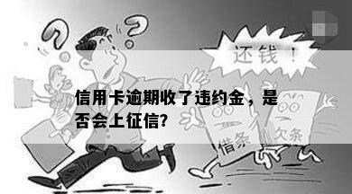 信用卡逾期收了违约金，是否会上征信？