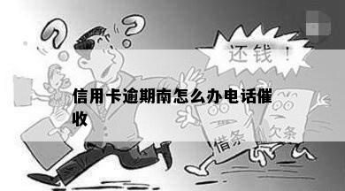 信用卡逾期南怎么办电话催收