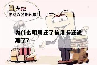 为什么明明还了信用卡还逾期了？