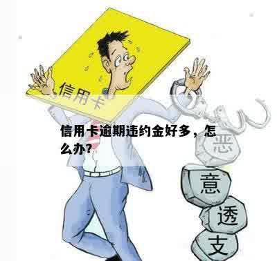 信用卡逾期违约金好多，怎么办？