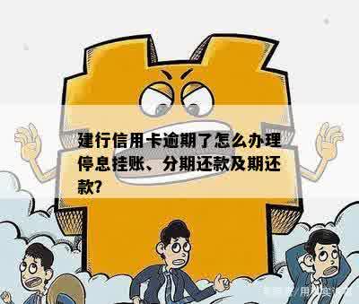 建行信用卡逾期了怎么办理停息挂账、分期还款及期还款？