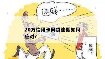 20万信用卡网贷逾期如何应对？