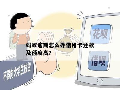 蚂蚁逾期怎么办信用卡还款及额度高？