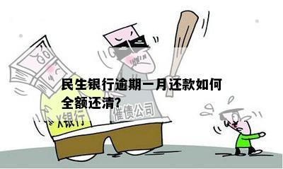 民生银行逾期一月还款如何全额还清？