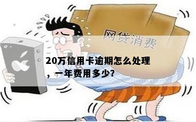 20万信用卡逾期怎么处理，一年费用多少？