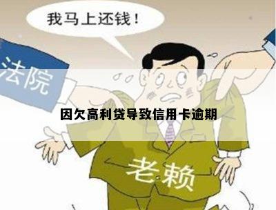 因欠高利贷导致信用卡逾期