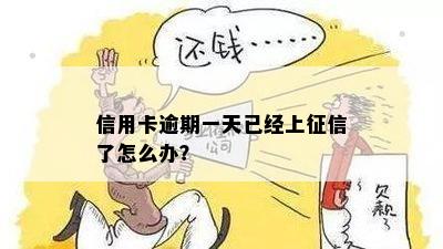 信用卡逾期一天已经上征信了怎么办？