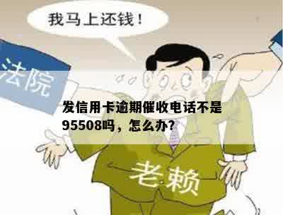 发信用卡逾期催收电话不是95508吗，怎么办？