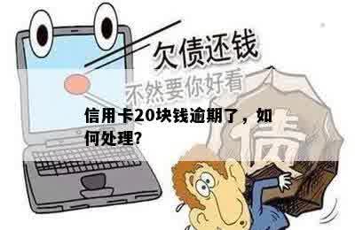 信用卡20块钱逾期了，如何处理？