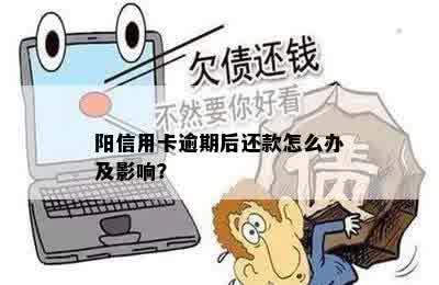 阳信用卡逾期后还款怎么办及影响？