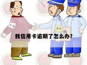 我信用卡逾期了怎么办？