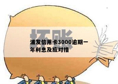 浦发信用卡3000逾期一年利息及应对措