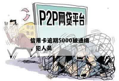 信用卡逾期5000被通缉，犯人员