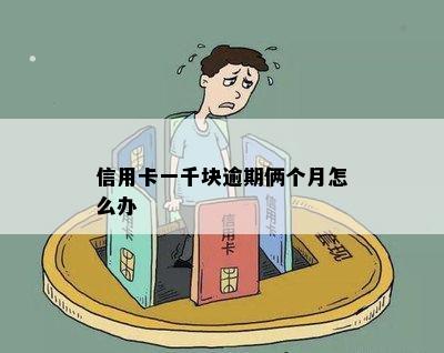 信用卡一千块逾期俩个月怎么办