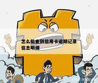 怎么能查到信用卡逾期记录信息明细