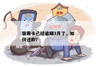 信用卡已经逾期3月了，如何还款？