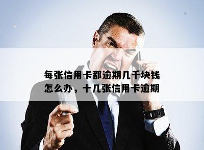 每张信用卡都逾期几千块钱怎么办，十几张信用卡逾期