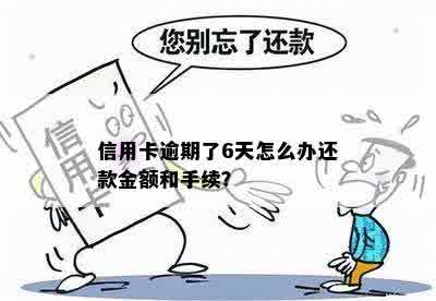 信用卡逾期了6天怎么办还款金额和手续？