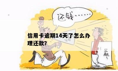 信用卡逾期14天了怎么办理还款？