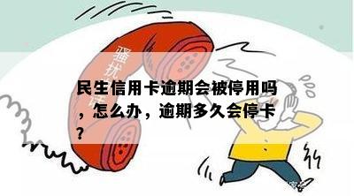 民生信用卡逾期会被停用吗，怎么办，逾期多久会停卡？