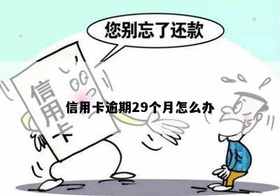 信用卡逾期29个月怎么办