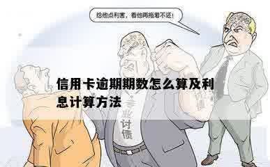 信用卡逾期期数怎么算及利息计算方法