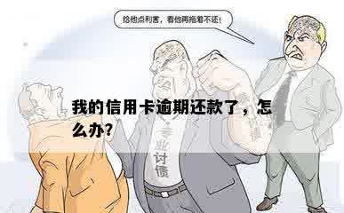 我的信用卡逾期还款了，怎么办？