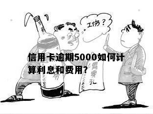 信用卡逾期5000如何计算利息和费用？