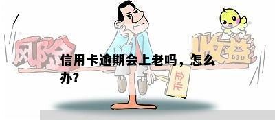 信用卡逾期会上老吗，怎么办？