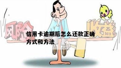 信用卡逾期后怎么还款正确方式和方法