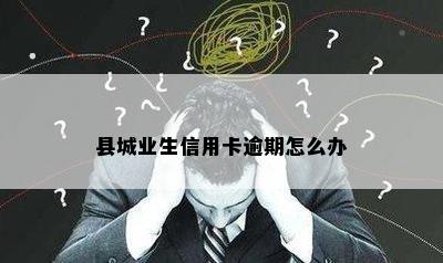 县城业生信用卡逾期怎么办