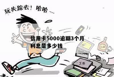 信用卡5000逾期3个月利息是多少钱