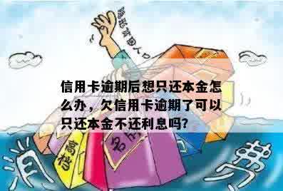 信用卡逾期后想只还本金怎么办，欠信用卡逾期了可以只还本金不还利息吗？