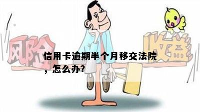 信用卡逾期半个月移交法院，怎么办？