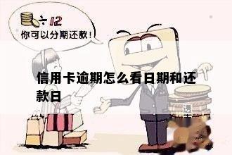 信用卡逾期怎么看日期和还款日