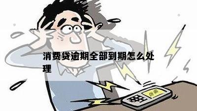 消费贷逾期全部到期怎么处理