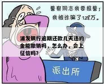 浦发银行逾期还款几天违约金能撤销吗，怎么办，会上征信吗？