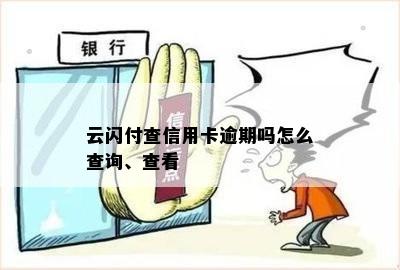 云闪付查信用卡逾期吗怎么查询、查看