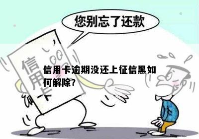 信用卡逾期没还上征信黑如何解除？