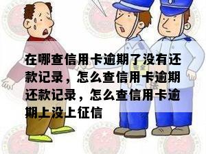 在哪查信用卡逾期了没有还款记录，怎么查信用卡逾期还款记录，怎么查信用卡逾期上没上征信