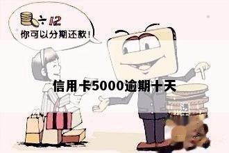 信用卡5000逾期十天