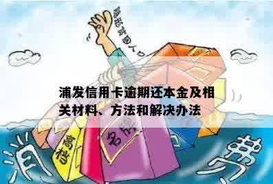 浦发信用卡逾期还本金及相关材料、方法和解决办法