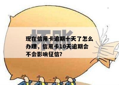 现在信用卡逾期十天了怎么办理，信用卡10天逾期会不会影响征信？