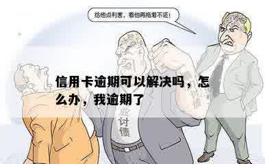 信用卡逾期可以解决吗，怎么办，我逾期了