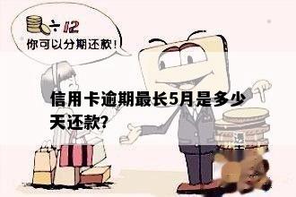 信用卡逾期最长5月是多少天还款？